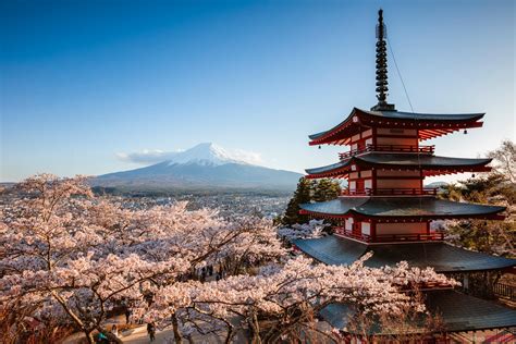 The Chureito Pagoda: A Majestic Vista of Mount Fuji and Cherry Blossom Bliss!