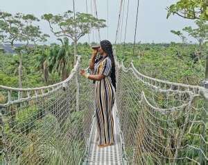 Lekki Conservation Centre: A Verdant Escape and Birdwatcher's Paradise!