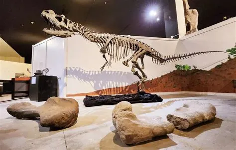 Zibo Dinosaur Museum: Roaring Back To Life Through Ancient Fossils!